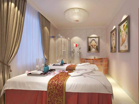  Calefón ionizado, calefón para duchas y bañeras (para cuidado corporal) 